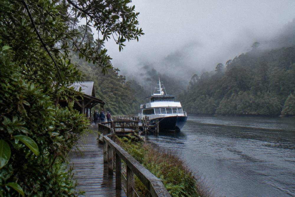 Anchored cruise boat at a timber landing with rainforest and mist behind it