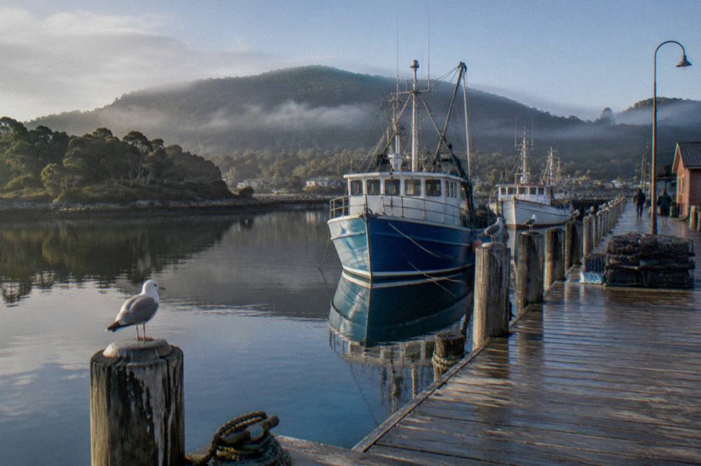 Fishing boats moored along the Strahan Esplanade wharf on a calm morning