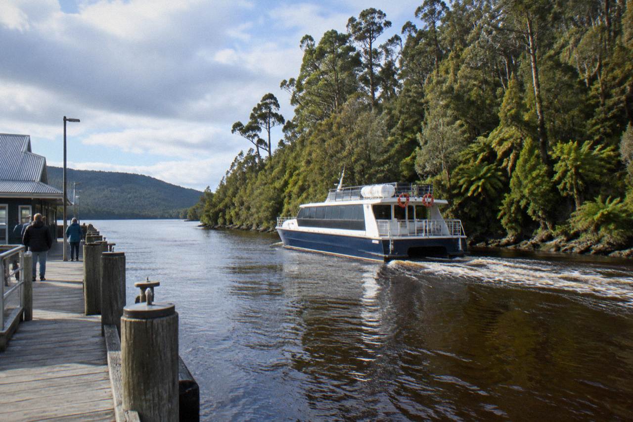 A cruise boat on dark tannin water beside temperate rainforest on the Gordon River near Strahan