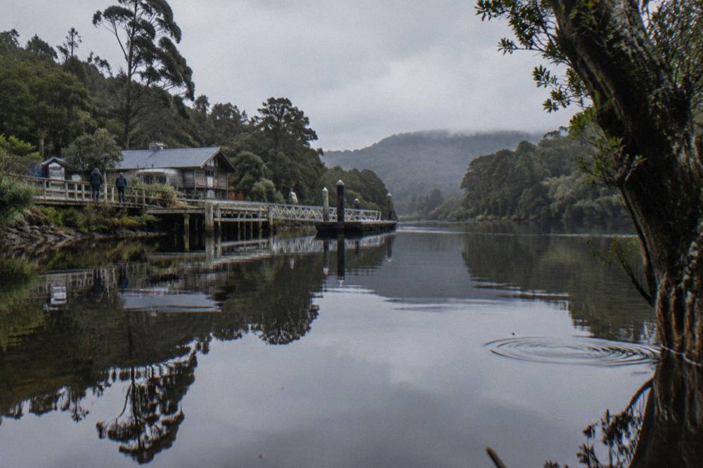 Dark mirror-calm water of the Gordon River reflecting tall rainforest along both banks