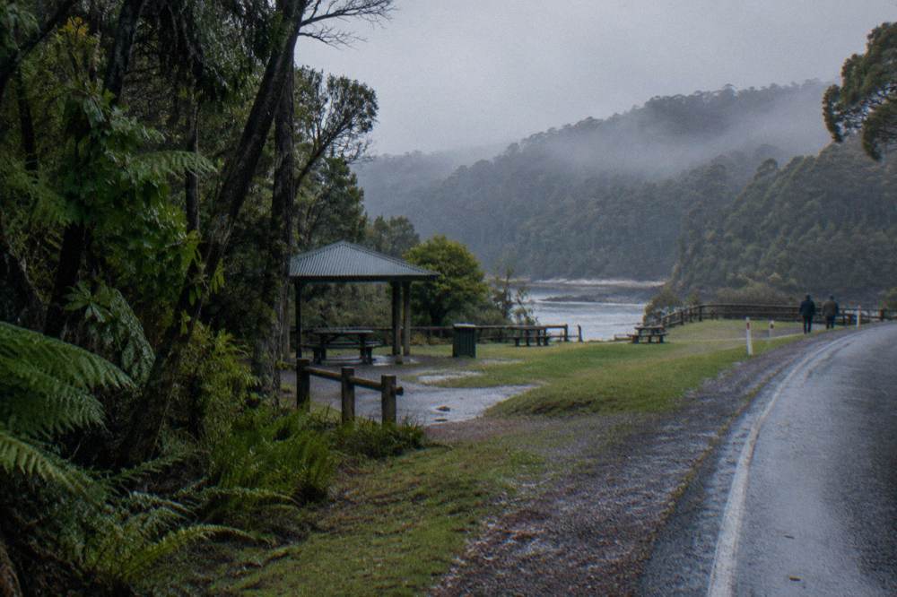 Rainforest and mist along a highway cutting on the west coast