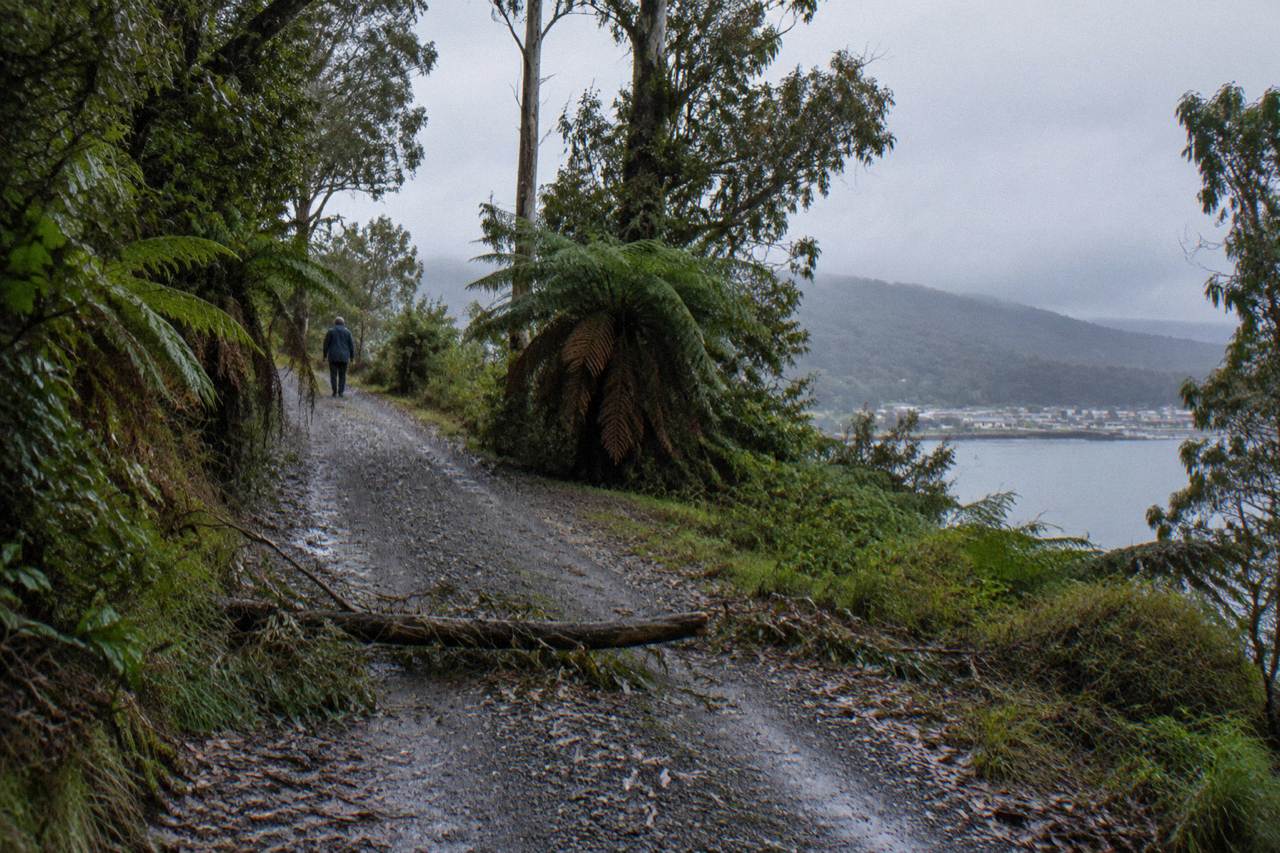 A quiet winding road through rainforest hills on Tasmania's west coast