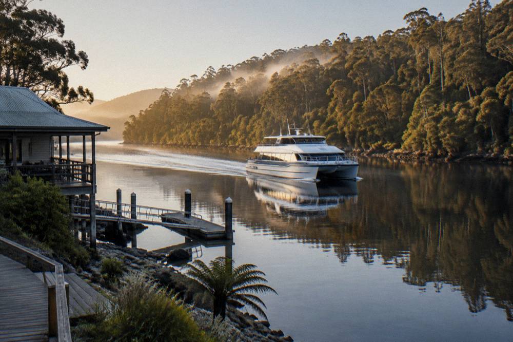 A catamaran cruising past forested riverbanks on still dark water in morning light