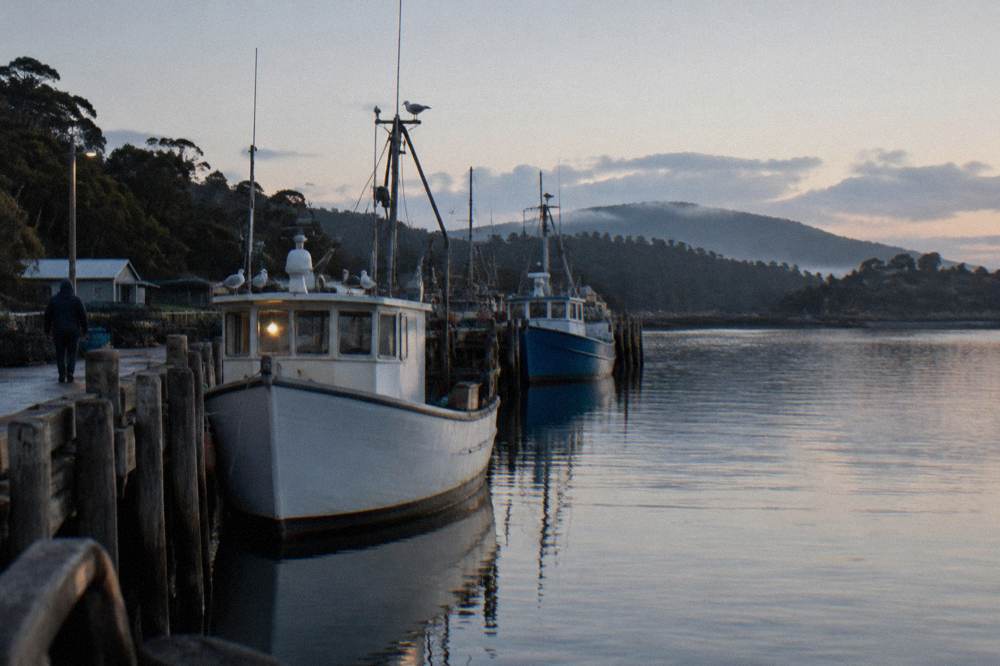 Fishing boats moored along a wooden jetty on a calm harbour at dawn