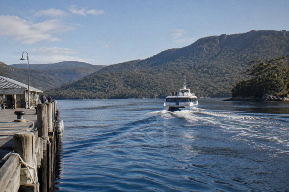 A catamaran cruise boat moving across dark calm harbour water toward forested hills