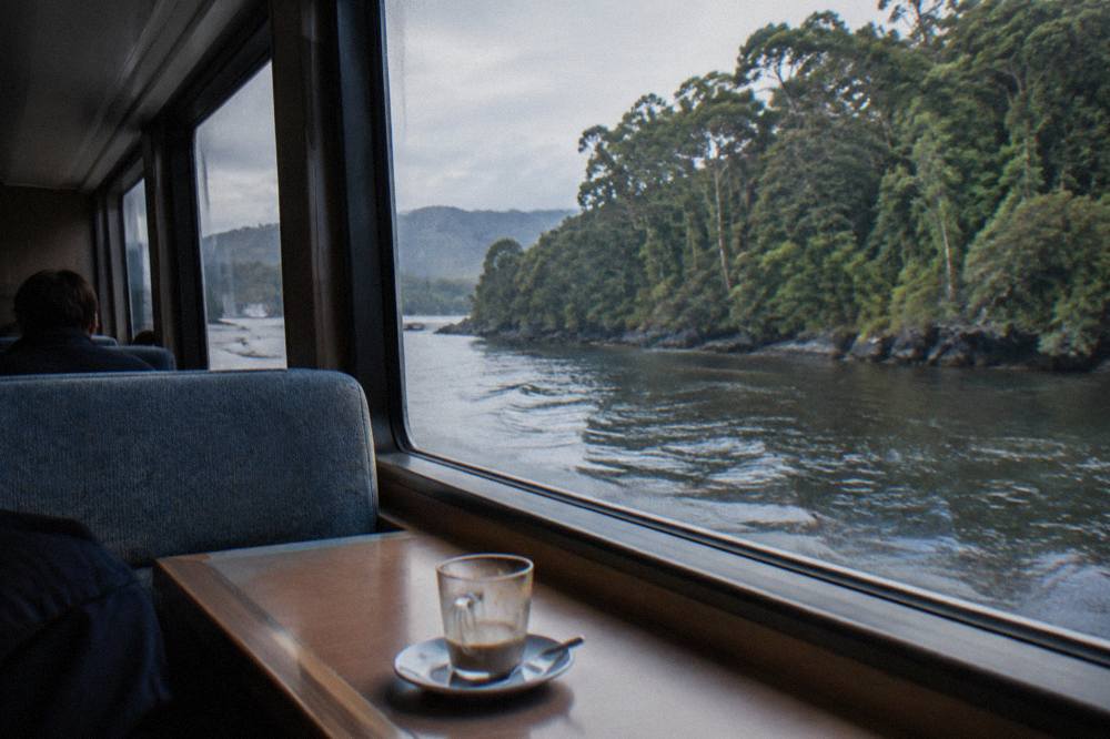 An enclosed cruise cabin with rows of seating beside wide windows looking onto rainforest