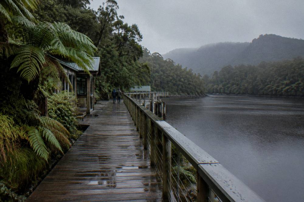 Rainforest boardwalk beside a quiet river at Heritage Landing