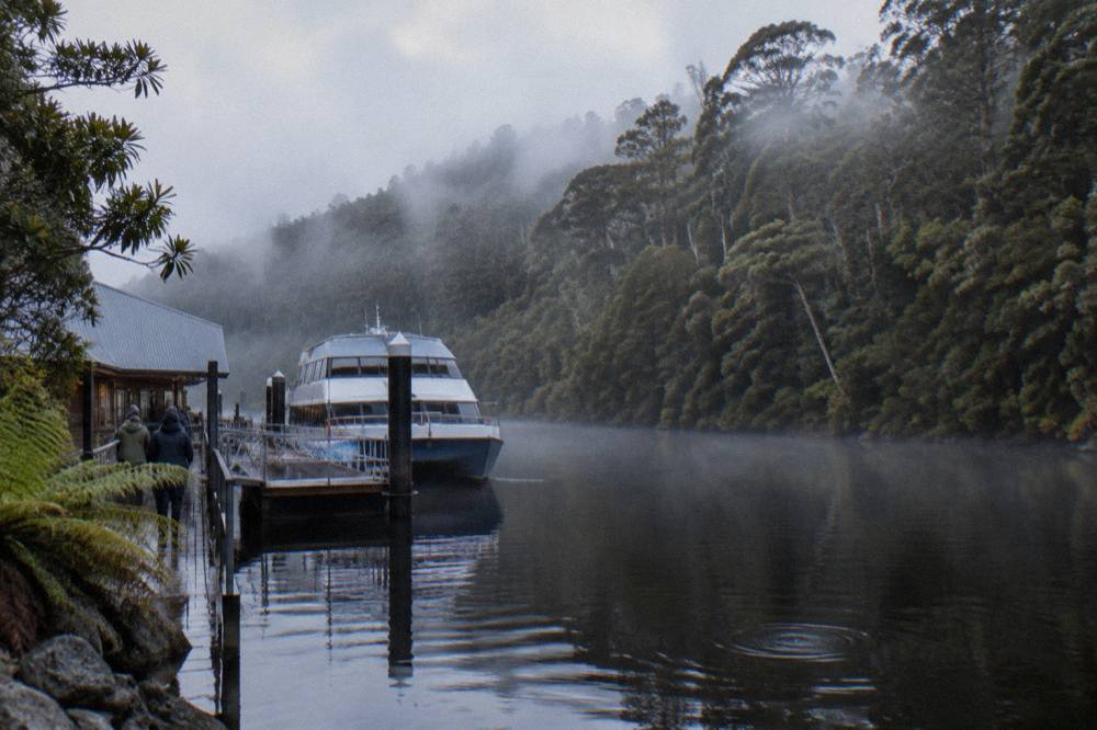 Rainforest canopy along a dark river with mist hanging between the trees