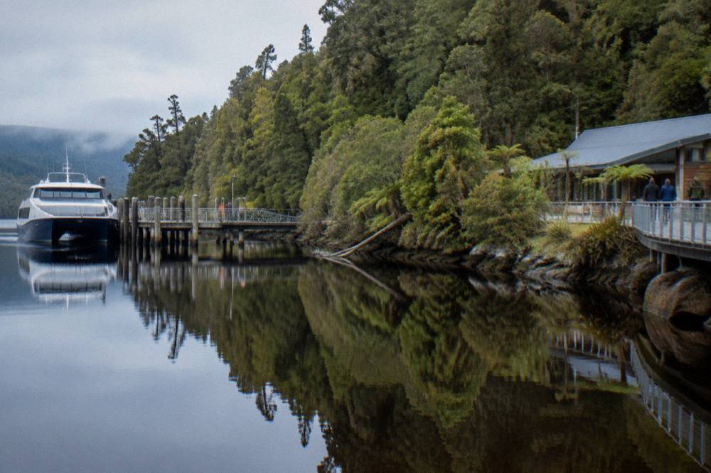 Still dark river water reflecting a wall of green rainforest along the riverbank