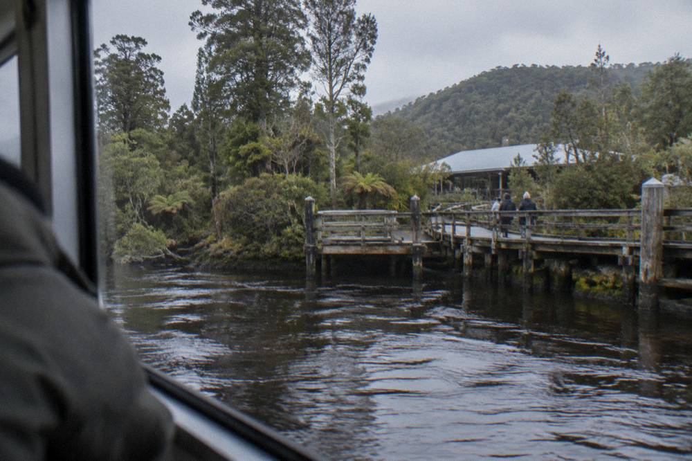 View from a cruise vessel window across dark river water toward rainforest and a boardwalk landing