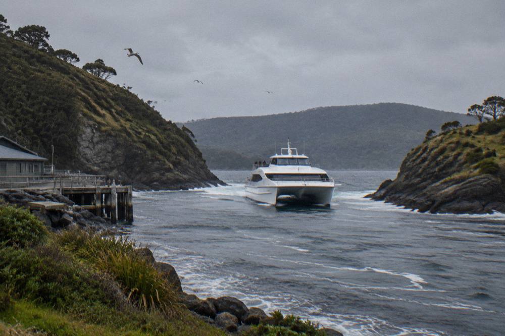 A cruise boat approaching a narrow channel entrance between rocky headlands on a grey west coast morning