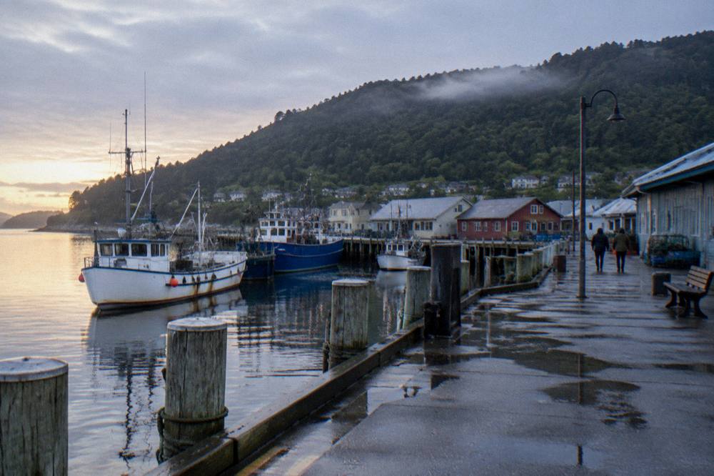 A small west coast fishing town wharf with moored boats and forested hills behind at first light