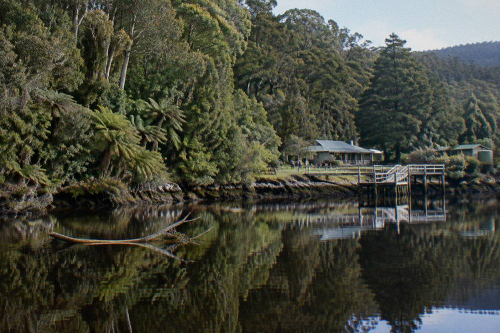 Dark tannin-stained river water reflecting dense green rainforest along a quiet riverbank