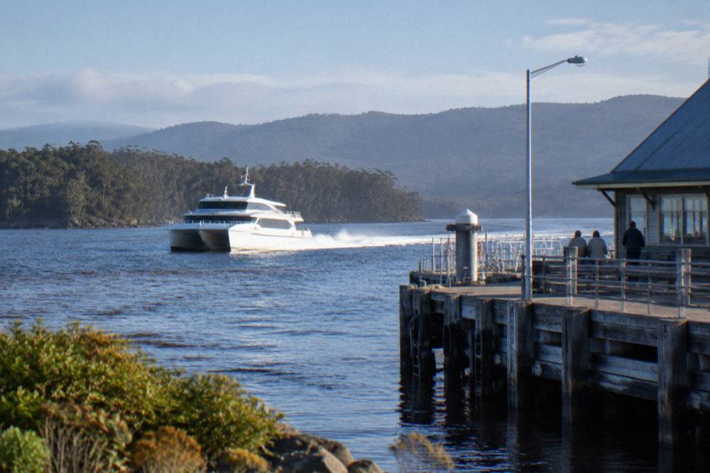 Cruise catamaran on wide dark harbour water with forested hills in the distance