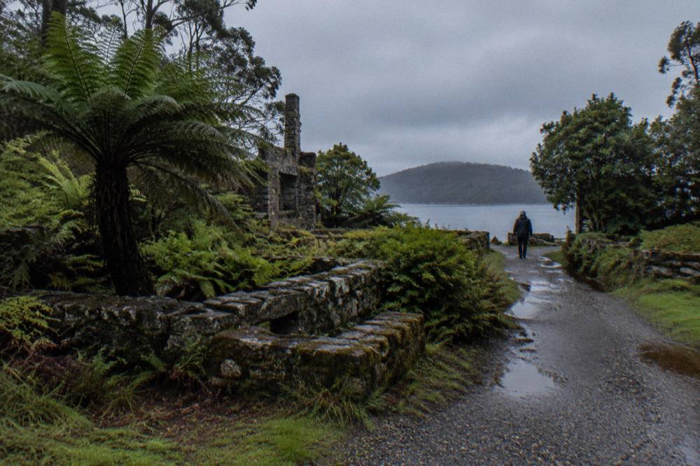 Weathered stone foundations of convict-era buildings surrounded by rainforest trees on a small harbour island