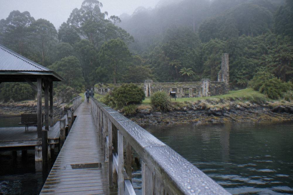 A timber walkway leading from a sheltered jetty toward low stone ruins under tall rainforest trees