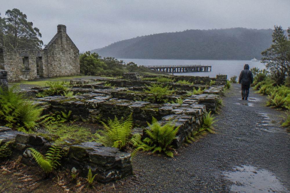 Low stone footings of convict-era buildings with rainforest ferns growing between the walls