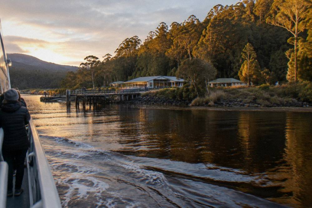 Passengers' view along a dark tannin-stained river between rainforest banks