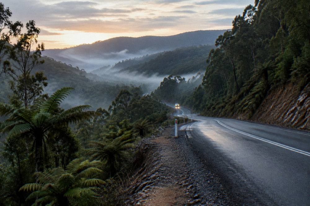 Winding road through rainforest hills approaching a small harbour town at dawn
