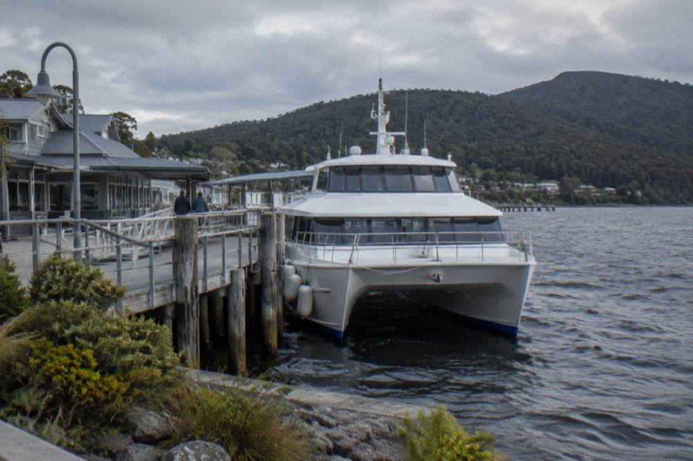 A cruise catamaran moored at a timber wharf on a dark tannin harbour at morning