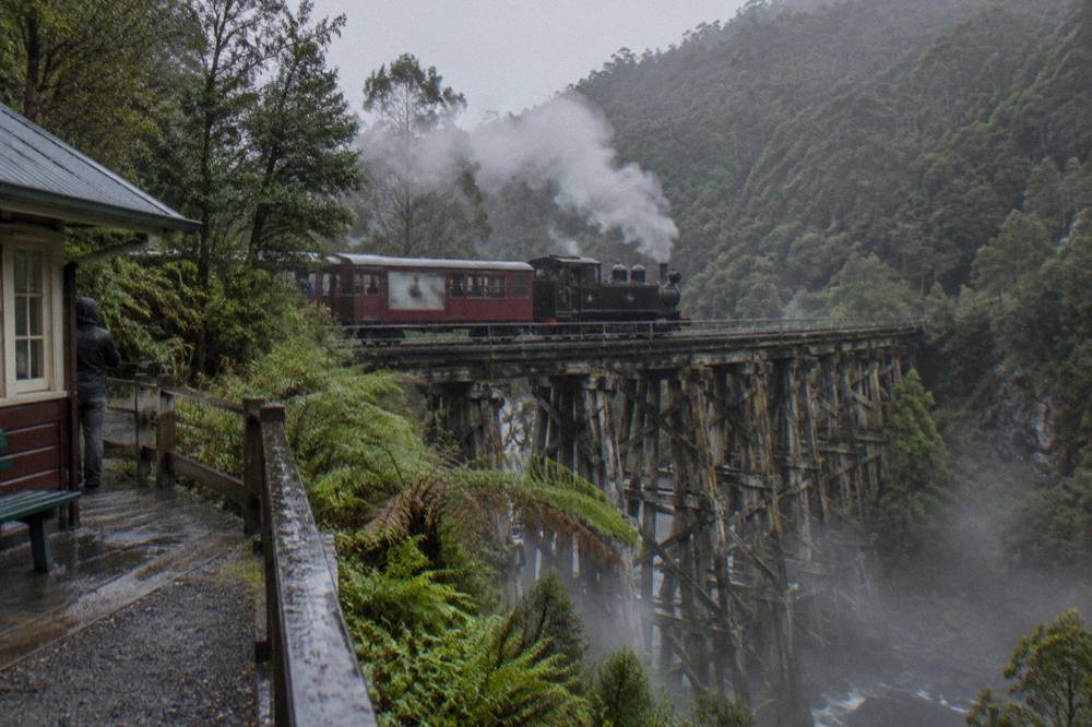 Steam locomotive crossing a high trestle bridge above a rainforest gorge on the west coast railway