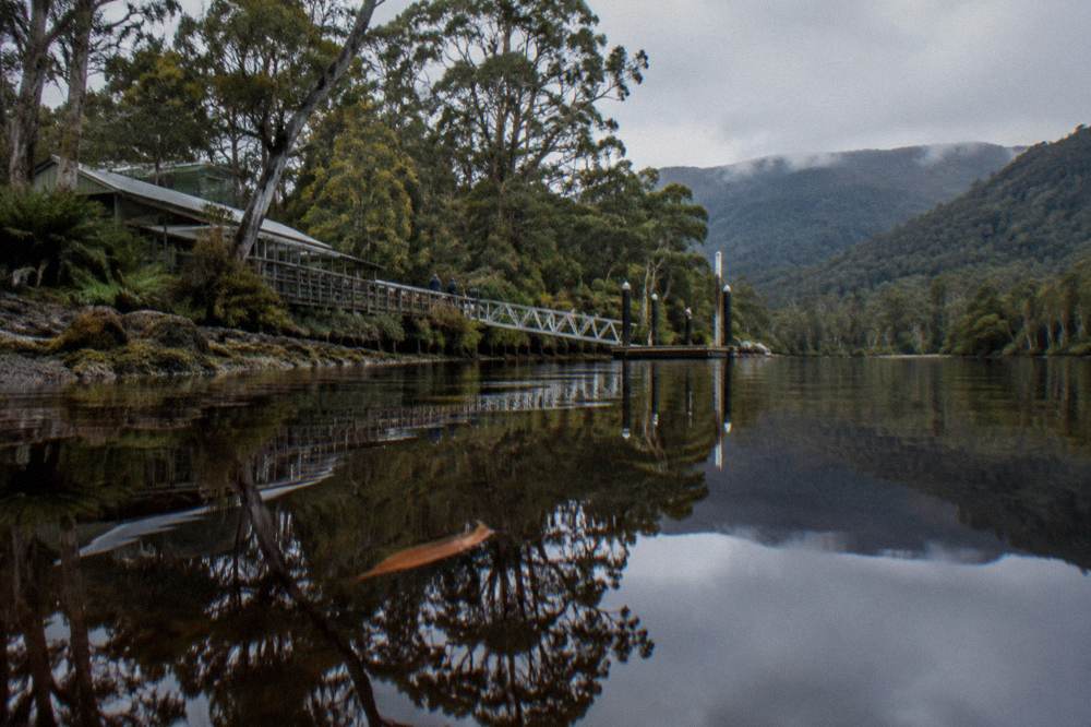 Dark tannin stained river reflecting temperate rainforest along a calm waterway