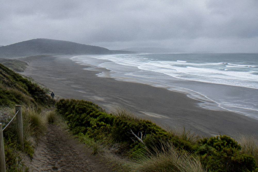 Long wild ocean beach with dark sand and rolling dunes under an overcast sky